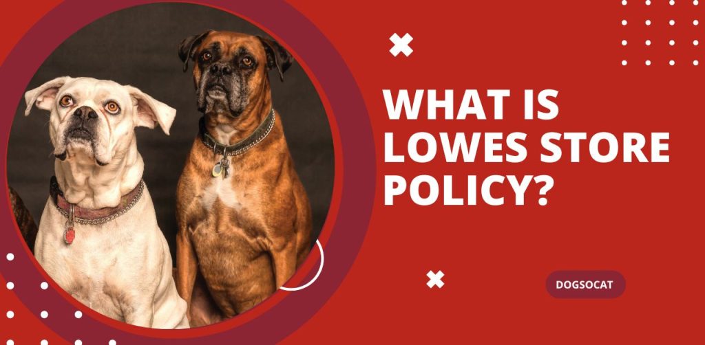 What is Lowes store policy?