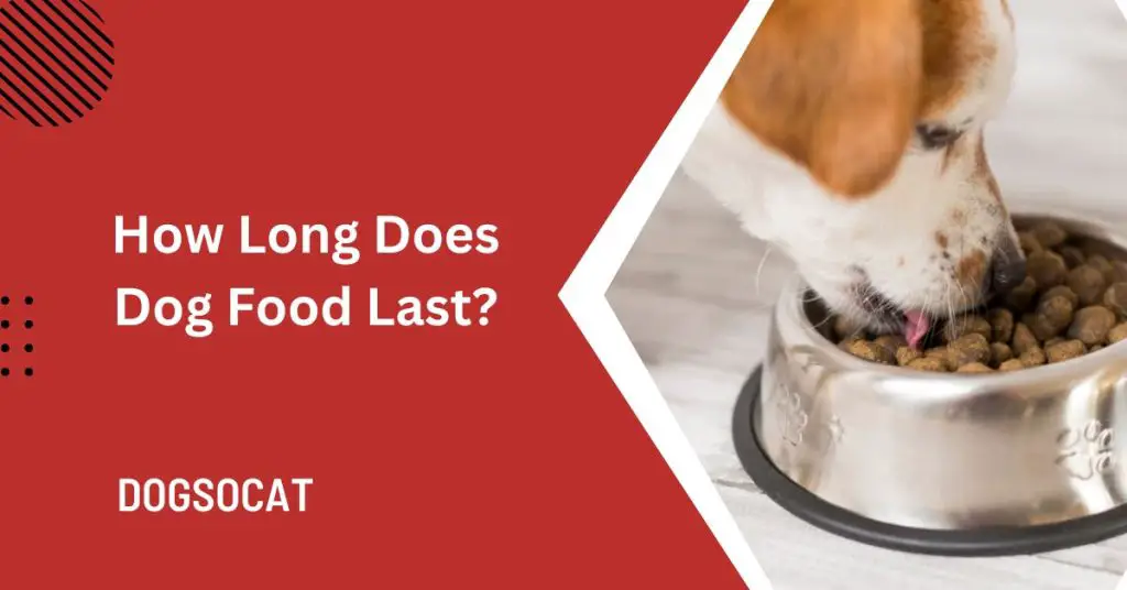 How Long Does Dog Food Last?